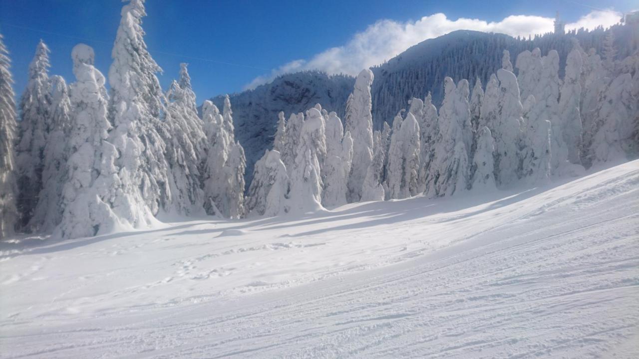 Apartament 2706 Alpin Resort, Etaj 7, Brassópojána Kültér fotó